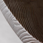 CZ_Champel_dining table © Le Studio de Marie (6)