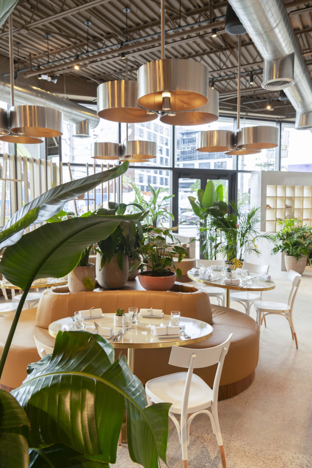 VelvetBiscuit review photo 5