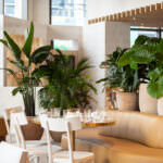 Yann Couvreur Miami couv